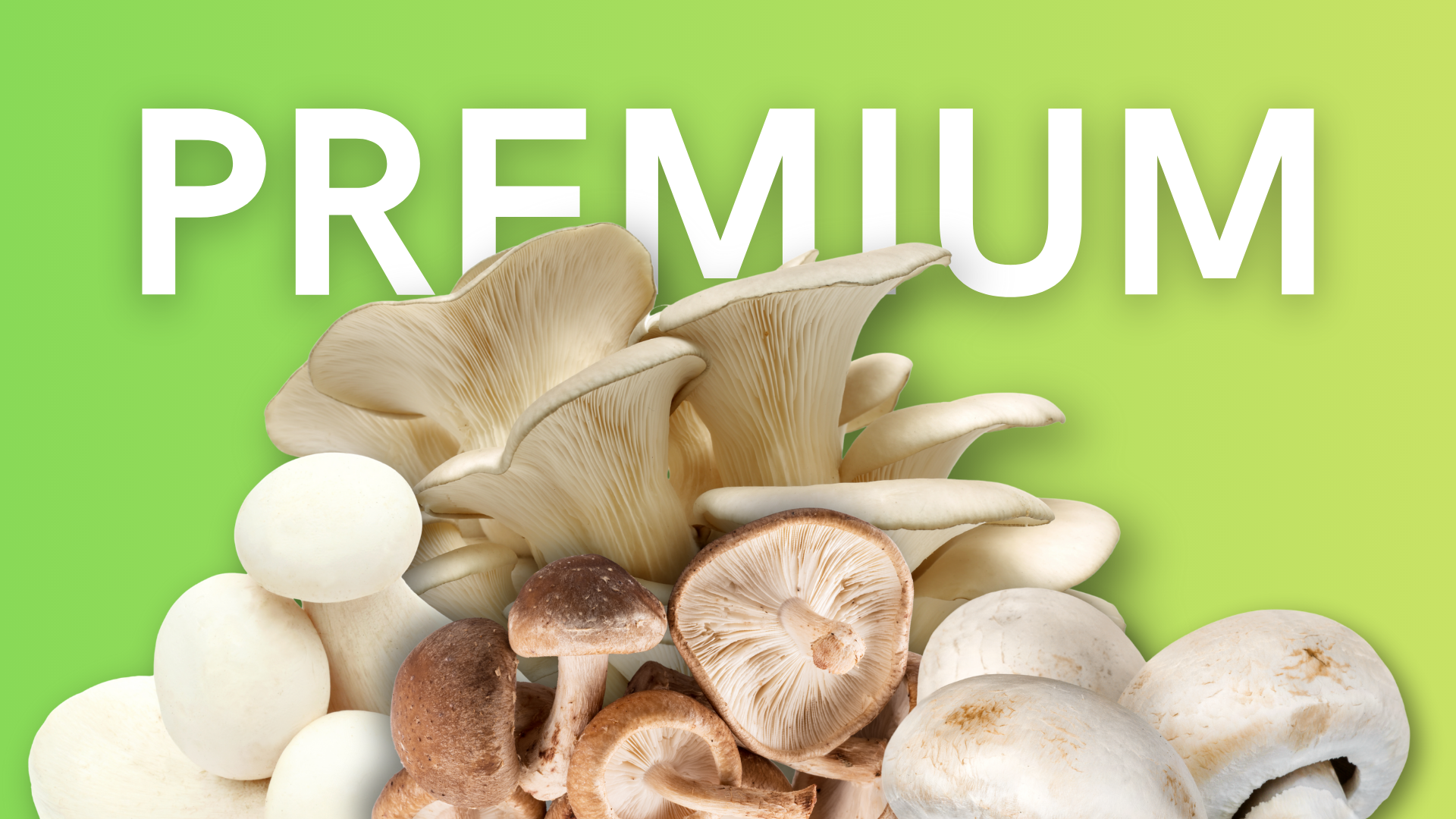 Mushrooms Banner